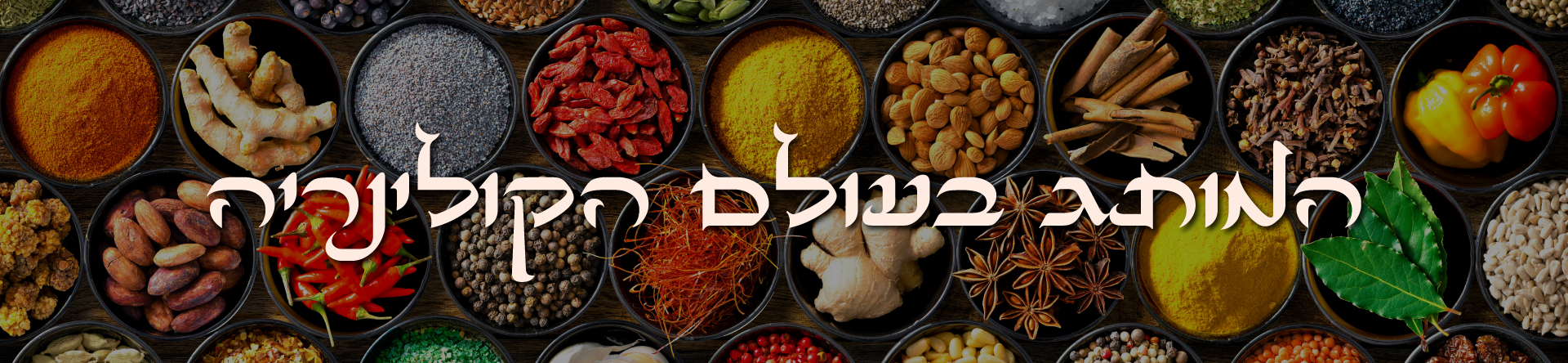 באנר ראשי דף קבוצת חיידר ח'טאר